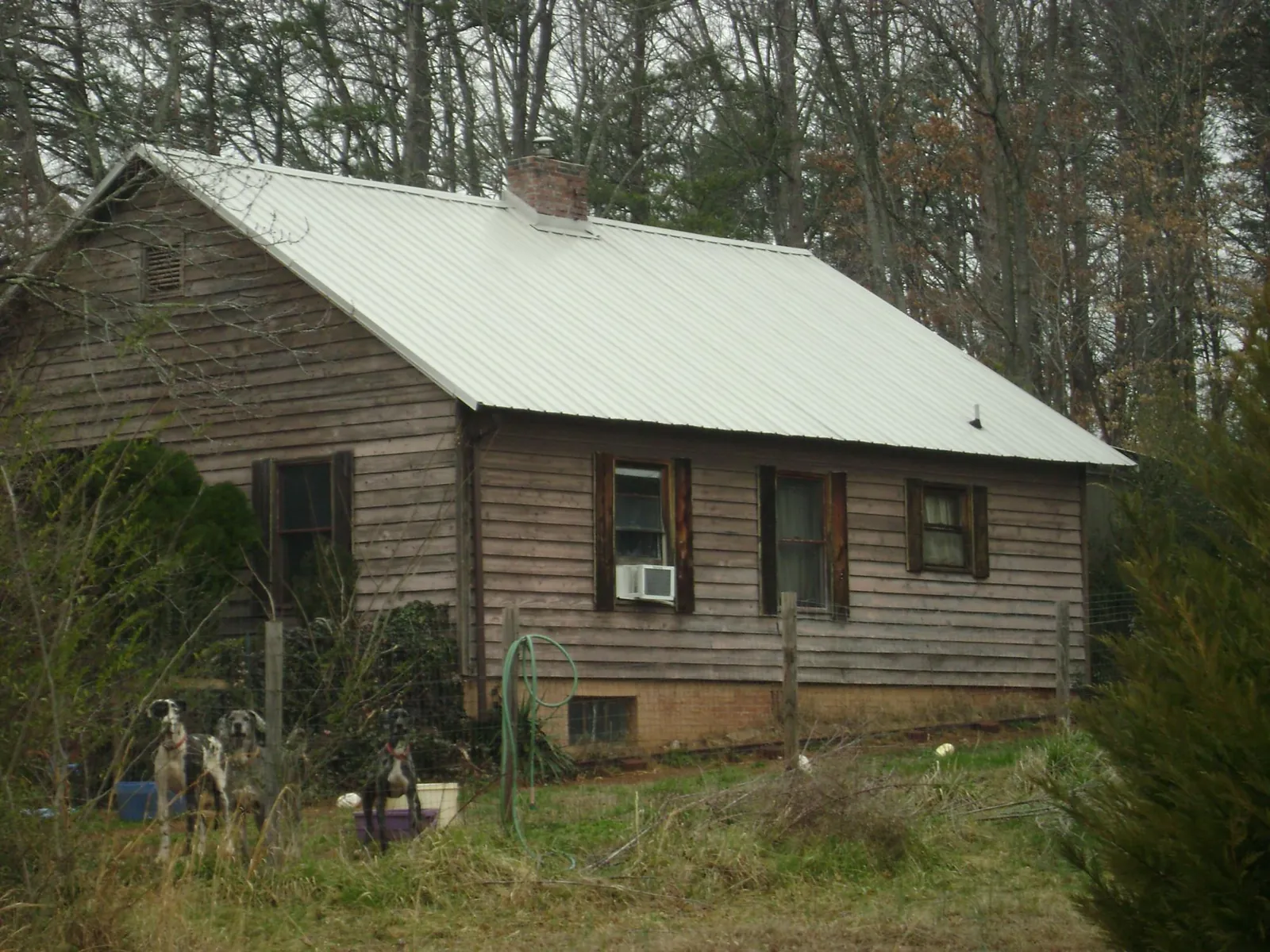 White metal roof on an old wood sided farmhouse, from a Asphalt Shingle Roof Repair job in Lake Winola